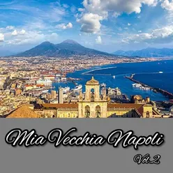 Mia vecchia Napoli, Vol. 2