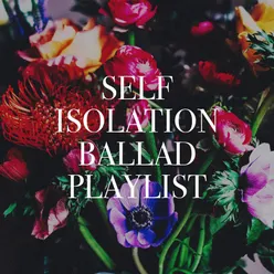 Self Isolation Ballad Playlist