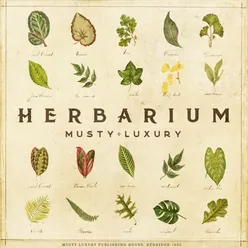 Herbarium Intro