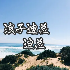 浪子迪总