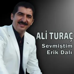 Erik Dalı