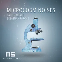 MUSIC SCULPTOR, Vol. 55: Microcosm Noises