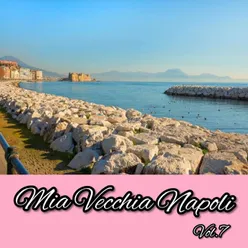 Mia vecchia Napoli Vol..7