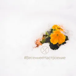 Ботинки