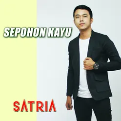 Sepohon Kayu