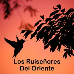 Los Ruiseñores del Oriente