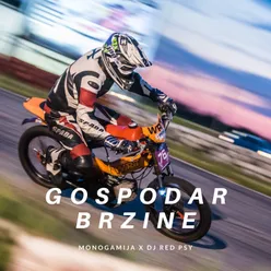 Gospodar brzine