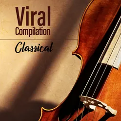 Viral Compilation