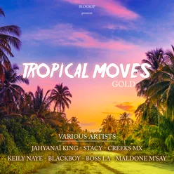 Tropical moves gold-Blockop hits compilation