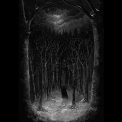 Stimmen im Wald
