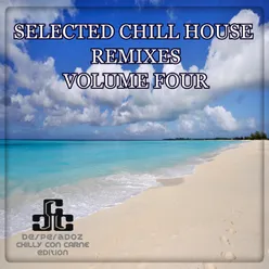 Selected Chill House Remixes, Vol.4