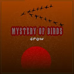 Mystery Of Birds