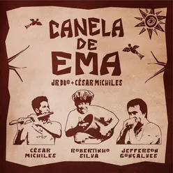 Canela de Ema