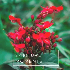 Spiritual Moments