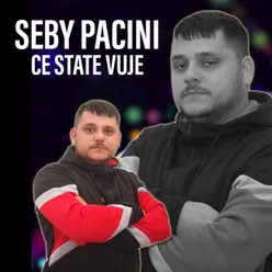 Ce state vuje