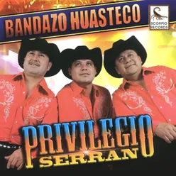 Bandazo Huasteco