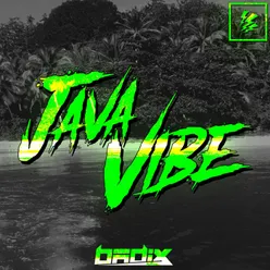 Java Vibe-Extended Version