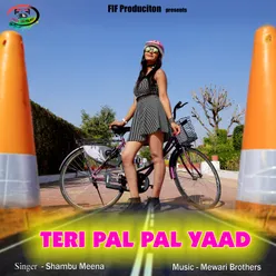 Teri Pal Pal Yaad