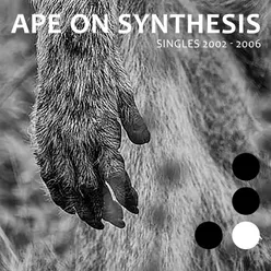 APE ON SYNTHESIS-Singles 2002 -2006 [1]