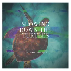 Slowing Down the Turtles