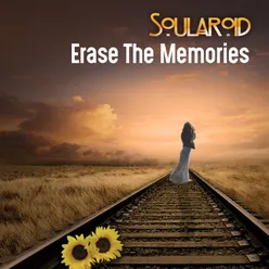 Erase The Memories-Instrumental