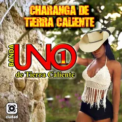 Charanga de Tierra Caliente-Charanga Internacional