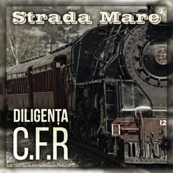 Diligenta CFR