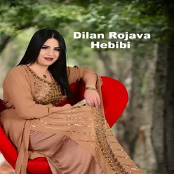 Dilana Mın