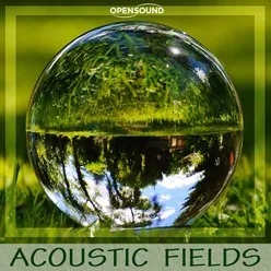 Acoustic Fields-Music for Movie