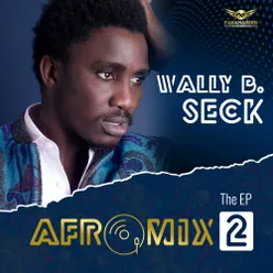 Afromix 2