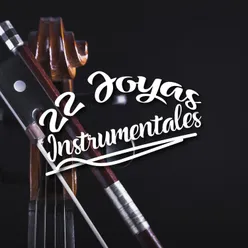 22 Joyas Instrumentales