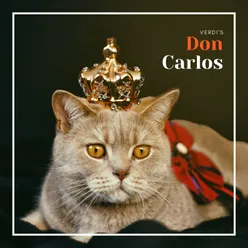 Don Carlos, Act III: Aj je ne verrai plus la Reine