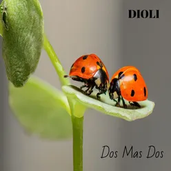 Dos Mas Dos-2+2