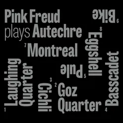 Pink Freud Plays Autechre