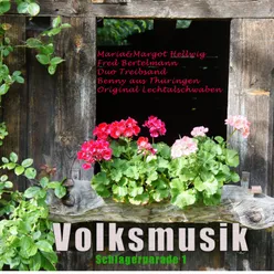 Ich mag die Volksmusik