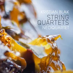 String Quartet No. 4 Contours: II. Eysturoy