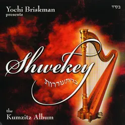 Shwekey Behitorerut