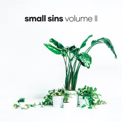 Small Sins, Vol. 2