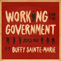 Working for the Government-2015 Mix