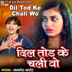 Dil Tod Ke Chali Wo