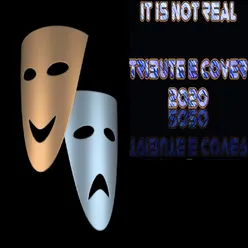 It Is Not Real Tribute & Cover