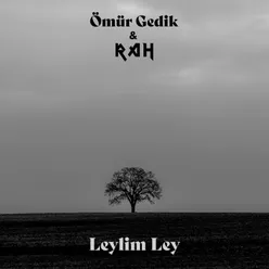 Leylim Ley Radio Edit