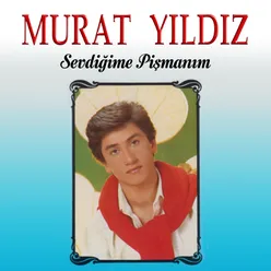 Sevdiğime Pişmanım