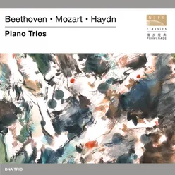 Piano Trio No. 39 in G Major, Hob. XV:25 "Gypsy": III. Rondo all’Ongarese. Presto