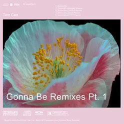 Gonna Be Remixes, Pt. 1