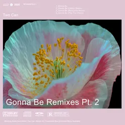 Gonna Be Renegvde Remix