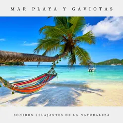 Mar Playa Y Gaviotas, Pt. 03