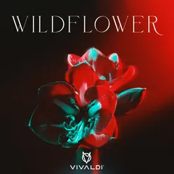 Wildflower