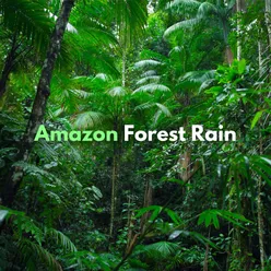 Amazon Rain