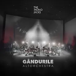 Gândurile Altorchestra Live